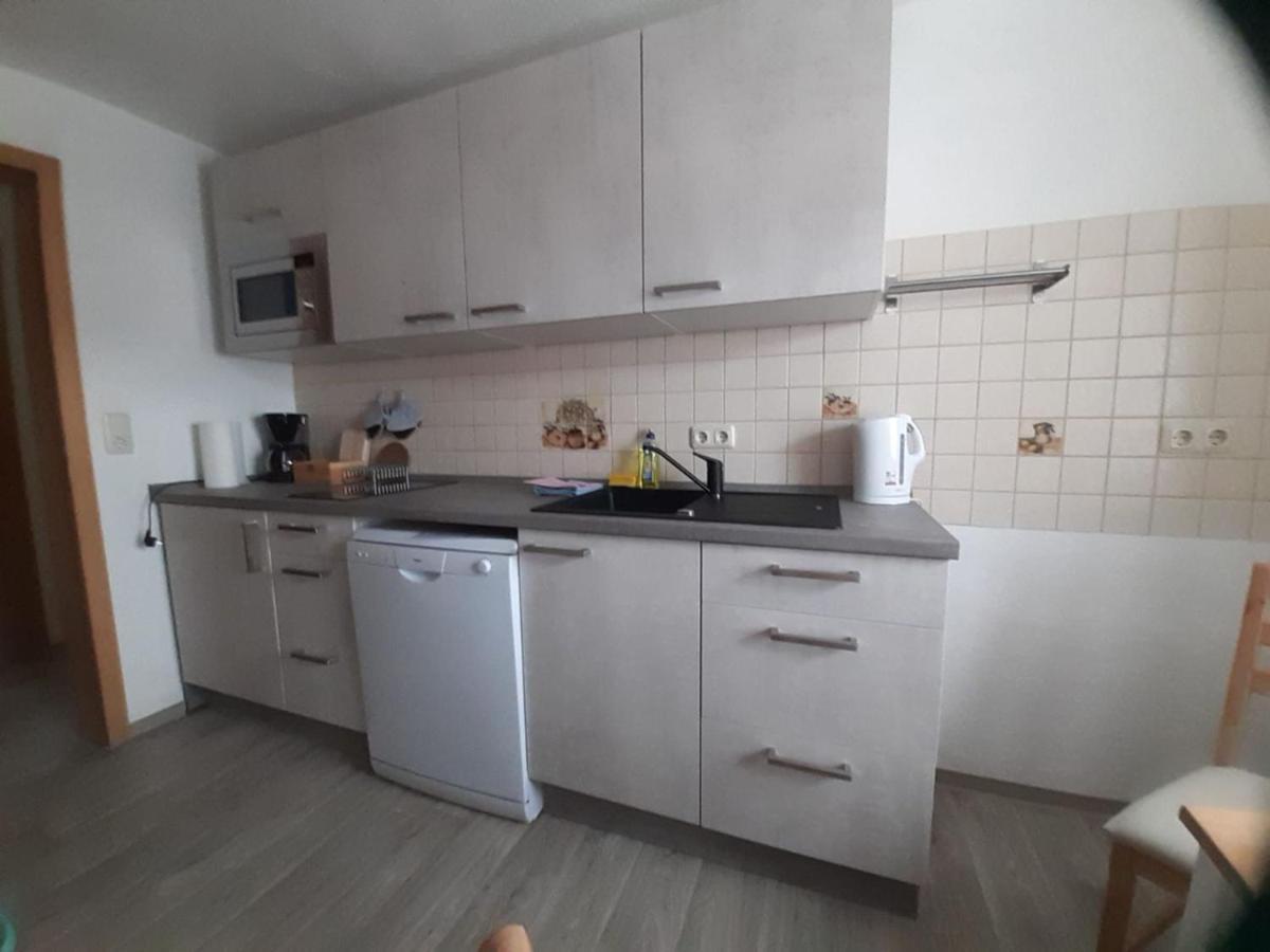 Neu! Ferienwohnung Hanka Crostwitz Екстер'єр фото